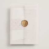"Ballpoint Suite" - Wedding Invitations in Blush by Ani Somi - Assembled with Vellum Wrap and Wax Seal