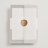 "Picture Perfect" - Wedding Invitations in Opal by Jennifer Postorino - Assembled with Vellum Wrap and Wax Seal