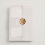 "Modern Monogram" - Wedding Invitations in Rose by Erica Krystek - Assembled with Vellum Wrap and Wax Seal