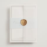 "Racquet" - Wedding Invitations in Fern by Megan Davis - Assembled with Vellum Wrap and Wax Seal