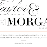 "Darling and Dashing" - Wedding Invitations in Blush by Alston Foster - Close-Up