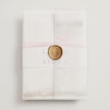 "Sedona" - Wedding Invitations in Desert Sands by Itsy Belle Studio - Assembled with Vellum Wrap and Wax Seal