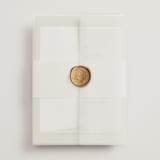 "Sienna" - Wedding Invitations in Lime by Ellen Schlegelmilch - Assembled with Vellum Wrap and Wax Seal