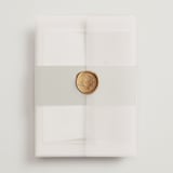 "Fero" - Wedding Invitations in Blush by Pati Cascino - Assembled with Vellum Wrap and Wax Seal