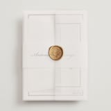 "Two Hearts" - Wedding Invitations in Lily by Pati Cascino - Assembled with Vellum Wrap and Wax Seal