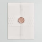 "Sophistotype" - Wedding Invitations in Sea Salt by Snow and Ivy - Vellum Wrap with Wax Seal
