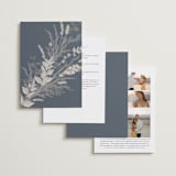 "Winter White Botanicals" - Wedding Invitations in Slate by Erin Deegan - Back of Card