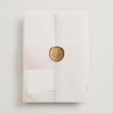 "Delicate brushstrokes" - Wedding Invitations in Blush by Lucrecia Caporale - Assembled with Vellum Wrap and Wax Seal