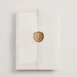 "The Bird Song" - Wedding Invitations in Peach by Helena Vitto - Assembled with Vellum Wrap and Wax Seal