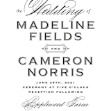 "Confection" - Wedding Invitations in Cloud by Jill Means - Close-Up