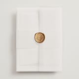 "Soft Sprigs" - Wedding Invitations in Champagne by Jennifer Postorino - Assembled with Vellum Wrap and Wax Seal