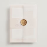 "Swept" - Wedding Invitations in Blush by Snow and Ivy - Assembled with Vellum Wrap and Wax Seal