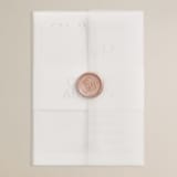 "chloe " - Wedding Invitations in Silk by Kelly Schmidt - Vellum Wrap with Wax Seal