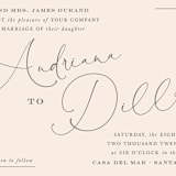 "EverAfter" - Wedding Invitations in Petal by Rochelle Renee - Close-Up