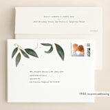 "Love Grows" - Wedding Invitations in Leaf by Leah Bisch - FREE Recipient Addressing