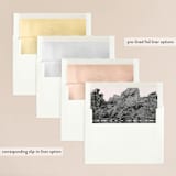 "Desert Rocks" - Wedding Invitations in Blush by Owl and Toad - Envelope Liner Options