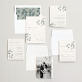 "Silver Dollar Eucalyptus" - Wedding Invitations in Silver Dollar by Shannon Chen of Four Wet Feet Studio - Invitation Suite