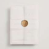 "First Love" - Wedding Invitations in Blush by Pixel and Hank - Assembled with Vellum Wrap and Wax Seal