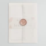 "Lineup" - Wedding Invitations in Latte by Jennifer Lew - Vellum Wrap with Wax Seal
