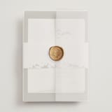 "into the mountains" - Wedding Invitations in Olive by Helen Halik - Assembled with Vellum Wrap and Wax Seal
