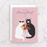 "Purr-fect Pair" - Single Greeting Cards in Rose Quartz by Jamie Alexander - Front