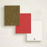 "Curveball" - Children’s Stationery in Fire Engine by Jennifer Thomke - Back of Card Options