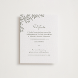 "Beauty of Nature" - Letterpress Direction Cards in Moss by Oscar and Emma - Karly Depew - Front