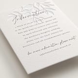 "Vine" - Letterpress Direction Cards in Warm Gray by Wildfield Paper Co - Detail
