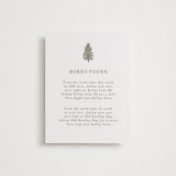 "Evergreens" - Letterpress Direction Cards in Olive by Itsy Belle Studio - Front