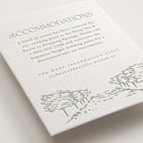 "Vineyard Vows" - Letterpress Direction Cards in Mint by Pink House Press - Detail