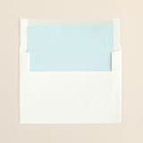 "Charming Go Lightly" - Slip-In Envelope Liners in Pool Blue by danielleb - Liner in envelope