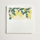 "Sweet Citrus" - Slip-In Envelope Liners in Lemon by Heather Cairl - Liner in white envelope