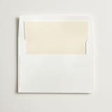 "Neutral Liner" - Slip-In Envelope Liners in Ivory by Minted - Liner in envelope