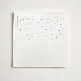 "scattered confetti" - Slip-In Envelope Liners in Multi by Ellen Schlegelmilch - Liner in envelope