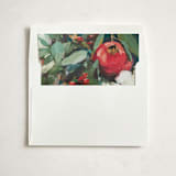 "Pomegranate" - Slip-In Envelope Liners in Crimson by Wendy Keller - Liner in white envelope