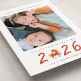 "2026 Horse Year" - Lunar New Year Cards in Kumquat by Vivian Yiwing - Detail