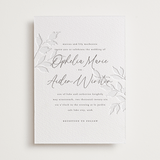 "Vine" - Letterpress Wedding Invitations in Warm Gray by Wildfield Paper Co - Front