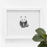 "Panda" - Original Drawings in white by Teju Reval