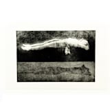 "Illusion Pastel" - Original Drawings in black by Dana Williamowsky