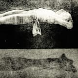"Illusion Pastel" - Original Drawings in black by Dana Williamowsky