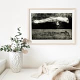 "Illusion Pastel" - Original Drawings in black by Dana Williamowsky