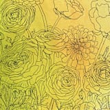 "spring to summer" - Original Drawings in yellow by Janie Allen