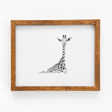 "Giraffe" - Original Drawings in brown by Teju Reval