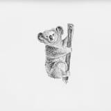 "Koala" - Original Drawings in black by Teju Reval