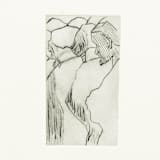 "Etching 6" - Original Drawings in black by Dana Williamowsky