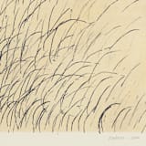 "Grasses Pastel" - Original Drawings in multicolorassorted-colors by Dana Williamowsky