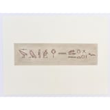 "Pictograph 2" - Original Drawings in multicolorassorted-colors by Dana Williamowsky