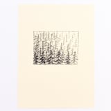 "Pine Forest" - Original Drawings in black by Dana Williamowsky