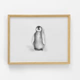 "Penguin" - Original Drawings in natural by Teju Reval