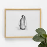 "Penguin" - Original Drawings in natural by Teju Reval